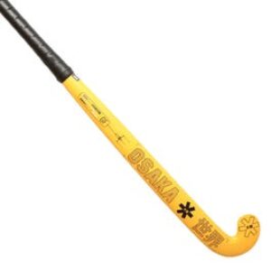 Indoor Vision GF Pro Bow